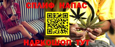 mdpv Дубна